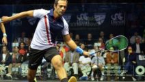 Amr Shabana (US Open 2014)